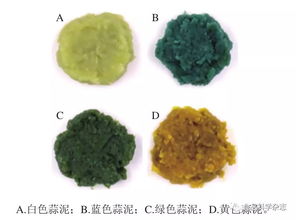 不同顏色蒜泥的風味及揮發(fā)性物質(zhì)分析